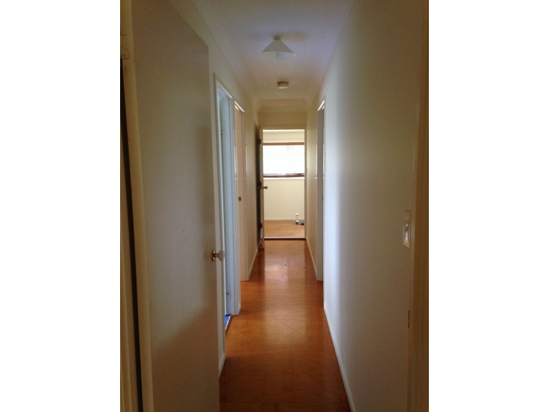 17 Tynan Street, Marmor QLD 4702