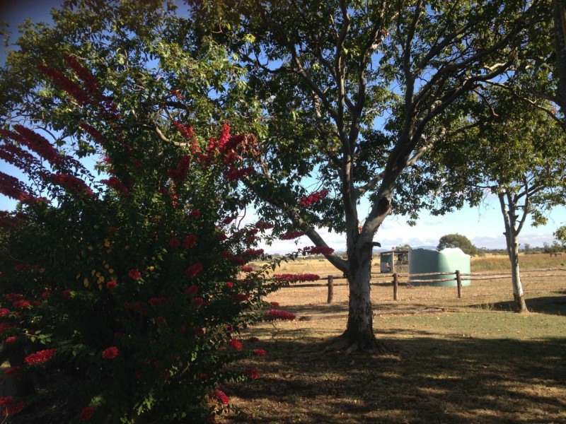 144 Bishop Road, Garnant QLD 4702