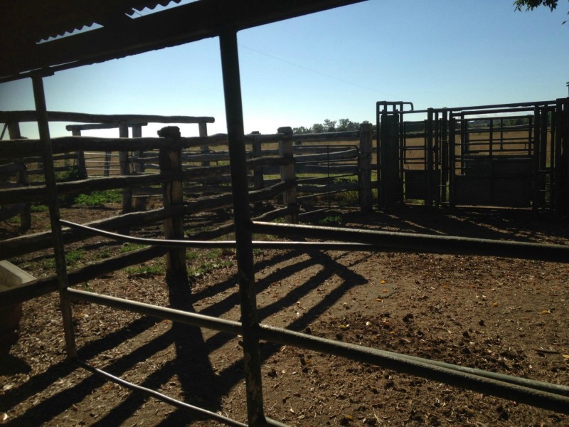 144 Bishop Road, Garnant QLD 4702
