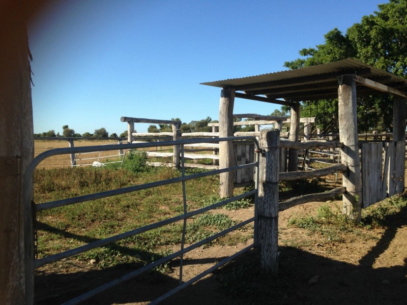 144 Bishop Road, Garnant QLD 4702