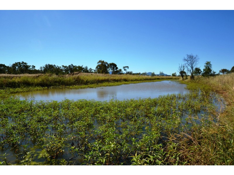 33 Reigel Drive, Gracemere QLD 4702