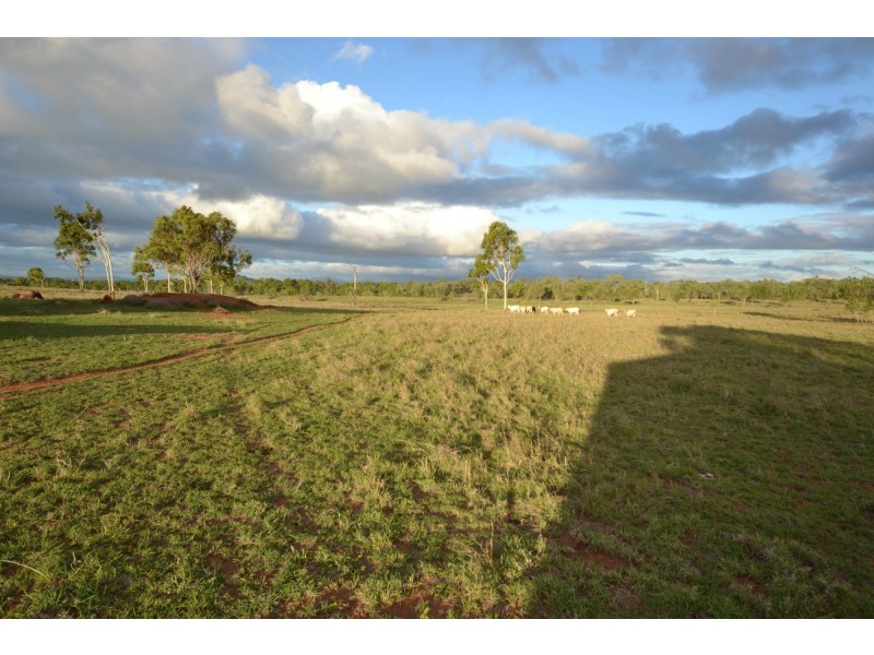 51 Kabralea Road, Kabra QLD 4702