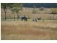 9 Harnsworth Road, Alton Downs QLD 4702