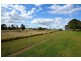 9 Harnsworth Road, Alton Downs QLD 4702