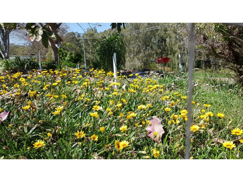 83 Byrnes Parade, Mount Morgan QLD 4714