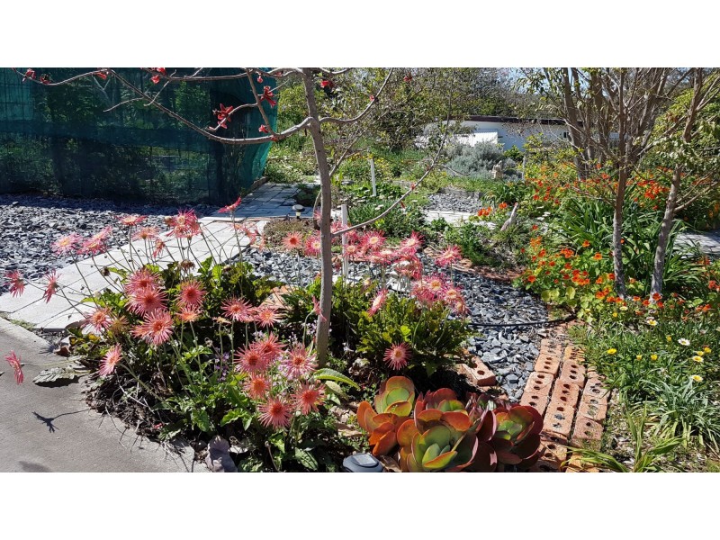 83 Byrnes Parade, Mount Morgan QLD 4714