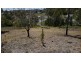 20 Darcy Street, Mount Morgan QLD 4714