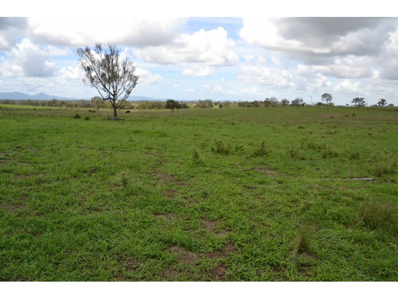 178 Mcevoy Road, Kabra QLD 4702