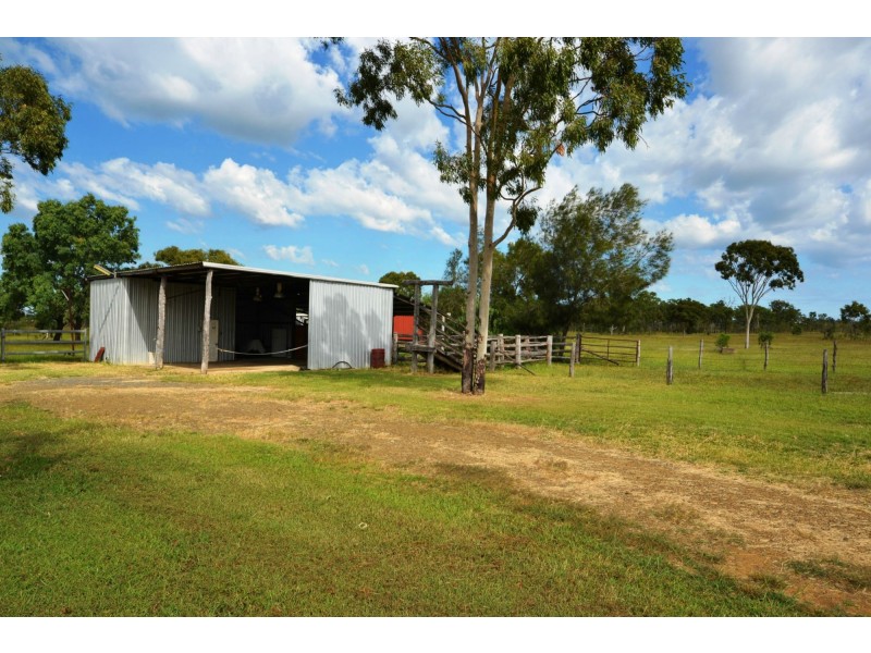 56 Rayner Road, Alton Downs QLD 4702