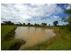 56 Rayner Road, Alton Downs QLD 4702