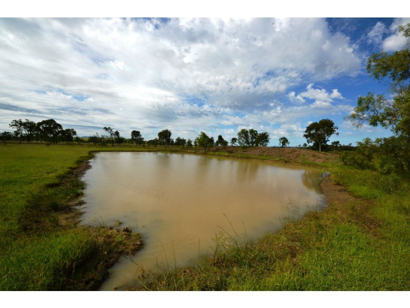 56 Rayner Road, Alton Downs QLD 4702