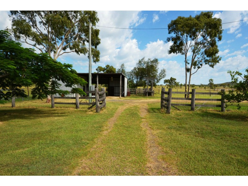 56 Rayner Road, Alton Downs QLD 4702