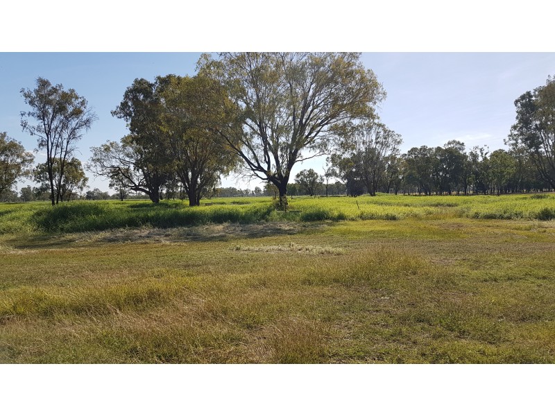 32 Pink Lily Rd, Pink Lily QLD 4702