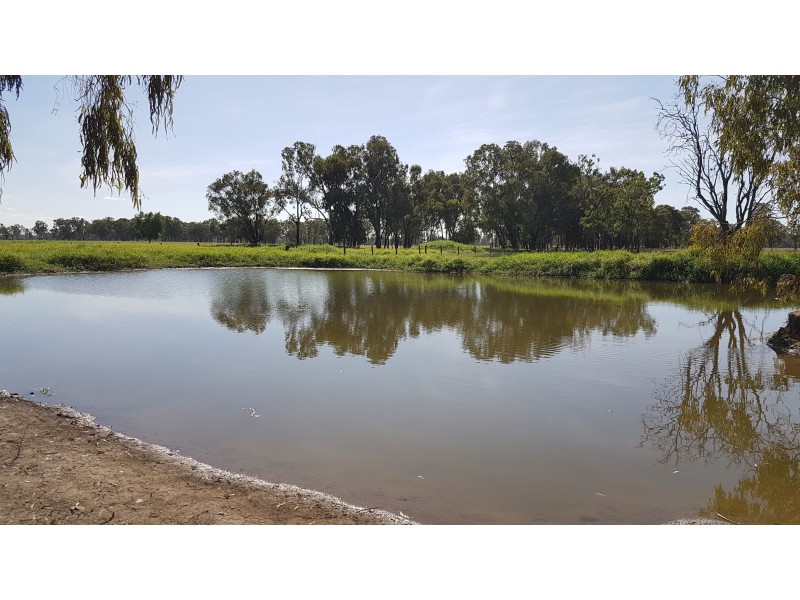 32 Pink Lily Rd, Pink Lily QLD 4702