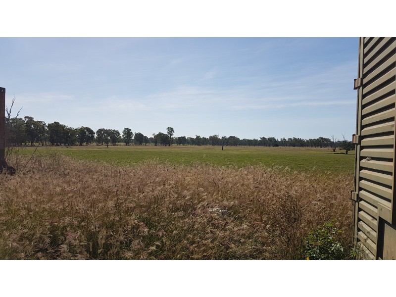 32 Pink Lily Rd, Pink Lily QLD 4702