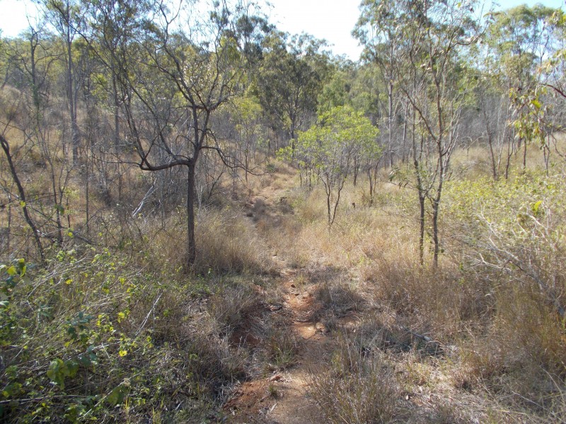 50340 Burnett Hwy, Mount Morgan QLD 4714