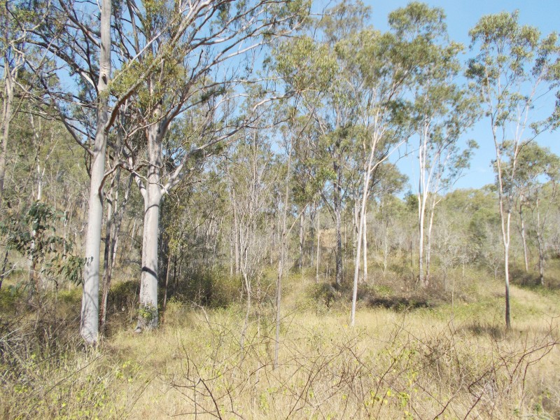 50340 Burnett Hwy, Mount Morgan QLD 4714