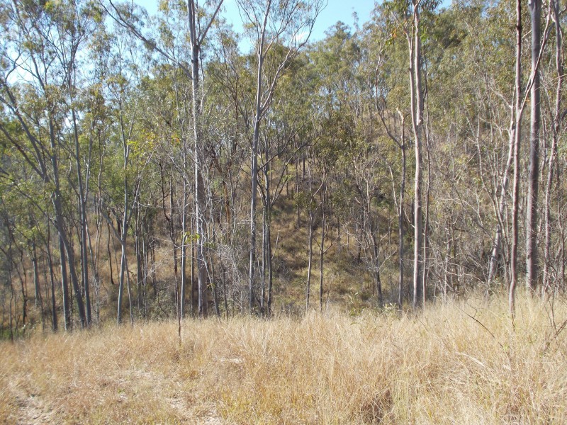 50340 Burnett Hwy, Mount Morgan QLD 4714