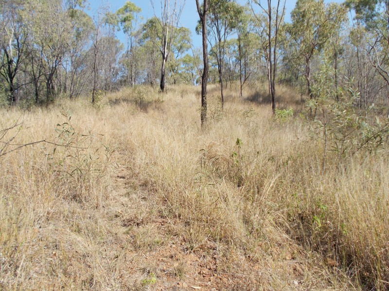 50340 Burnett Hwy, Mount Morgan QLD 4714