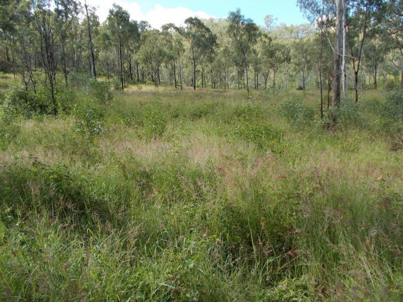 50340 Burnett Hwy, Mount Morgan QLD 4714