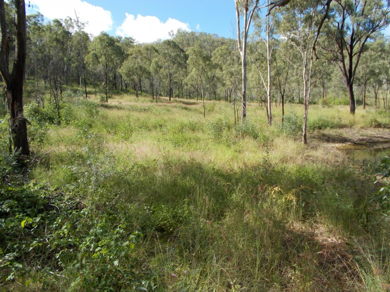 50340 Burnett Hwy, Mount Morgan QLD 4714