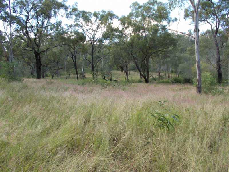 50340 Burnett Hwy, Mount Morgan QLD 4714