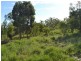 L8 Pheasant Road, Wowan QLD 4702