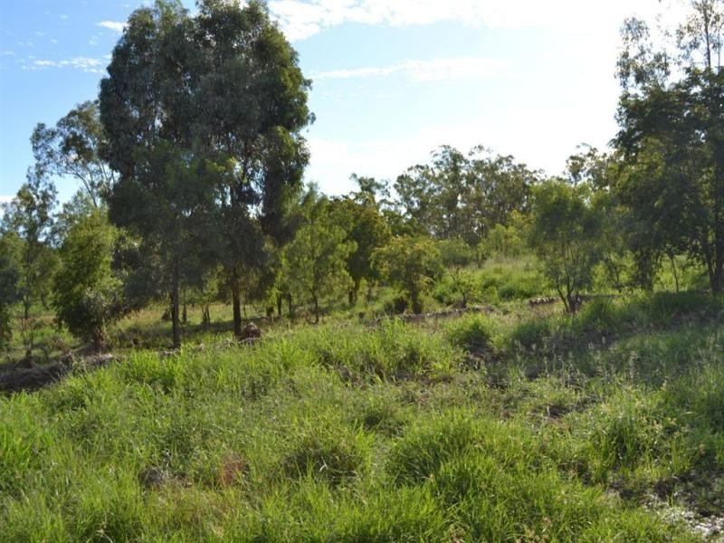 L8 Pheasant Road, Wowan QLD 4702