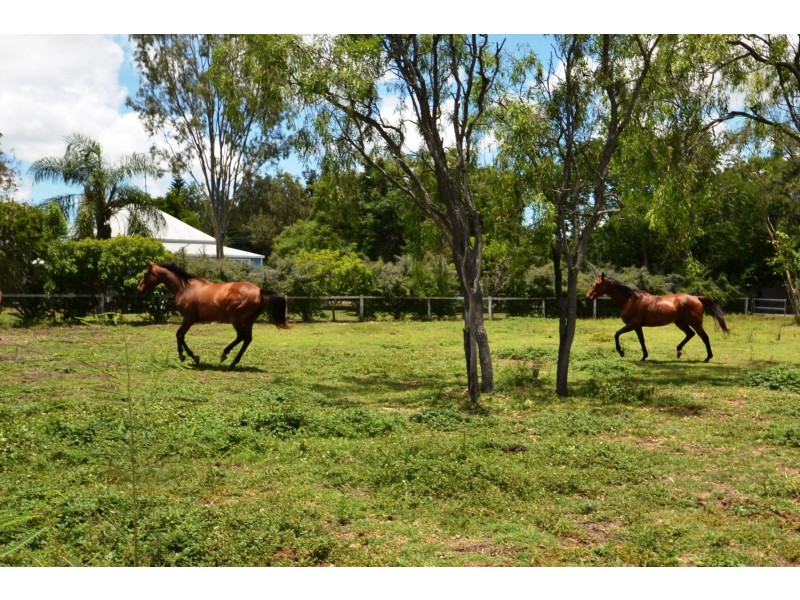 55 Richmont Dr, Bouldercombe QLD 4702