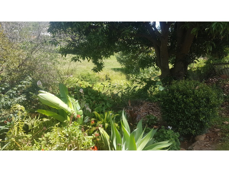 4 James St, Mount Morgan QLD 4714