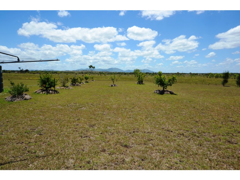 40 Sheehan Rd, Alton Downs QLD 4702