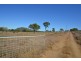 829 Lion Mountain Rd, Alton Downs QLD 4702