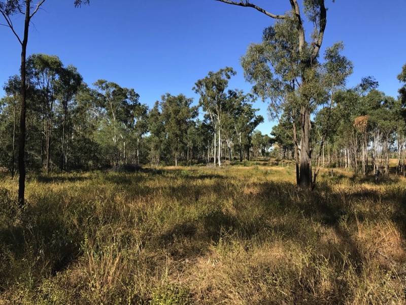 30 Bodero Rd, Bajool QLD 4699