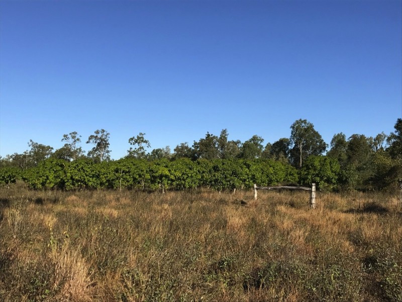 30 Bodero Rd, Bajool QLD 4699