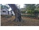 11 Racecourse Rd, Mount Morgan QLD 4714