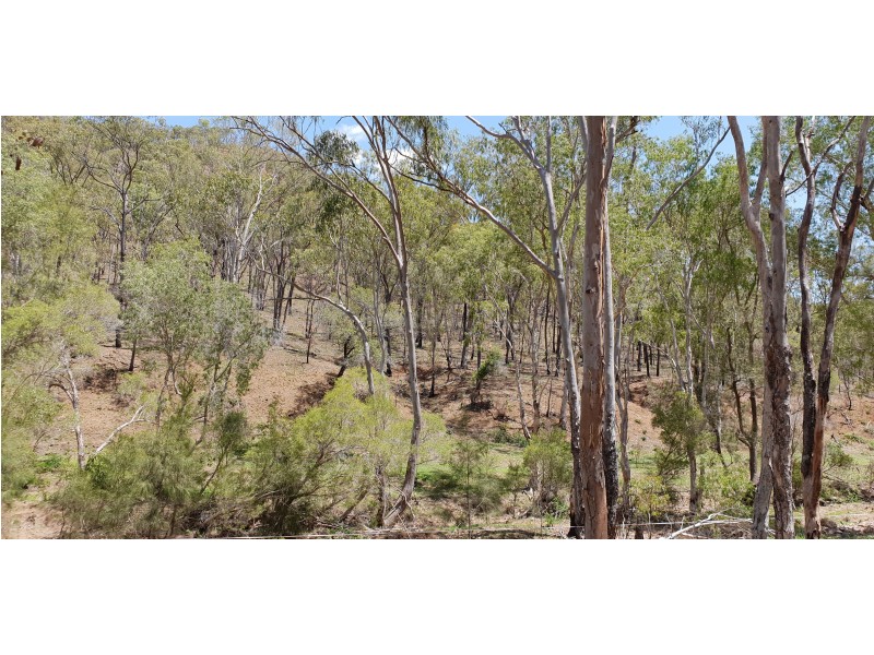 19 Smalls Rd, Hamilton Creek QLD 4714