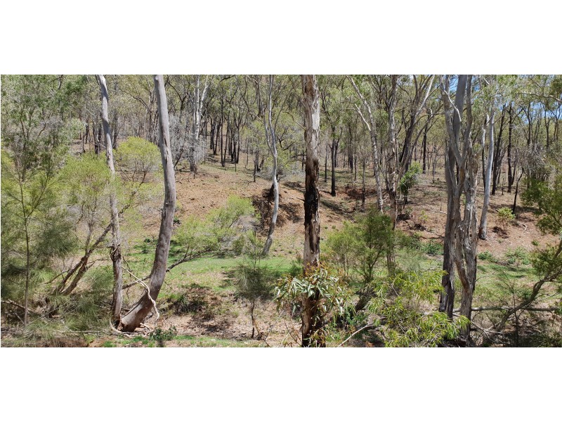 19 Smalls Rd, Hamilton Creek QLD 4714