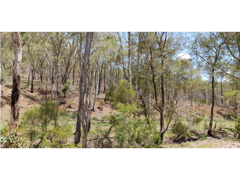 19 Smalls Rd, Hamilton Creek QLD 4714