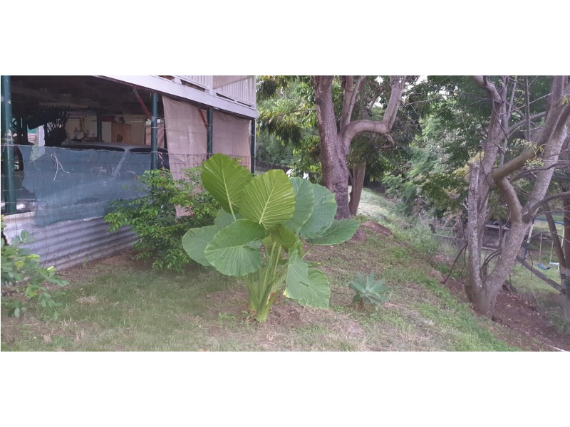 50 Gordon Lane, Walterhall QLD 4714