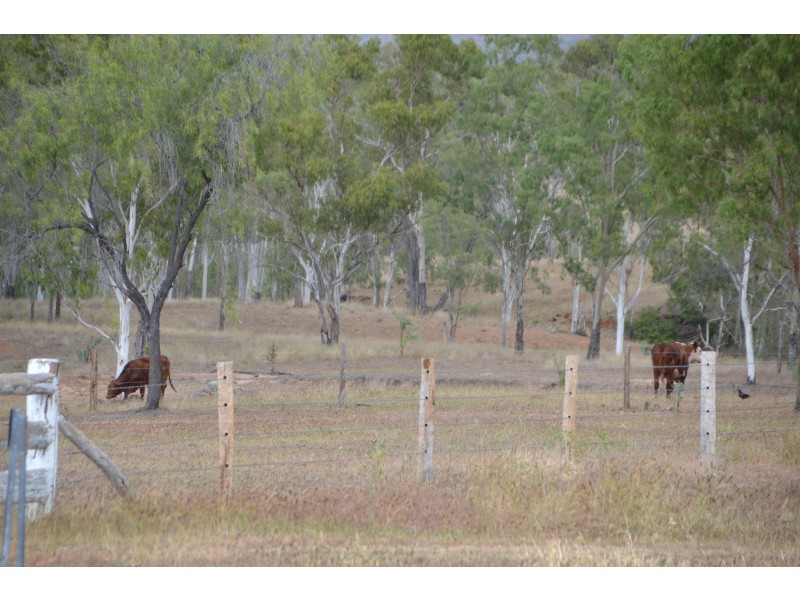 49582 Burnett Highway, Oakey Creek QLD 4714
