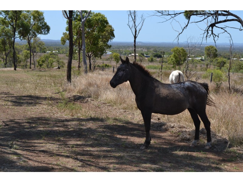 82 Webb Rd, Bouldercombe QLD 4702