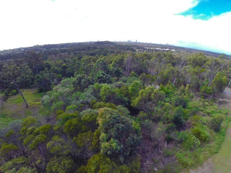 414 San Fernando Drive, Worongary QLD 4213