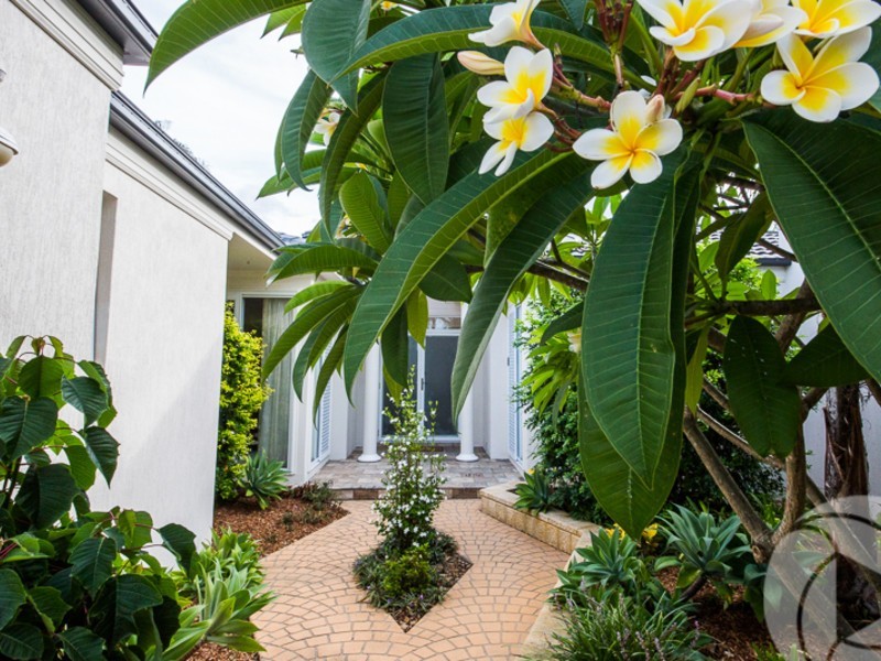 6 Crestmore Court, Mermaid Waters QLD 4218