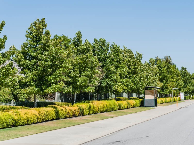 3/17 Pearson Drive, Success WA 6164