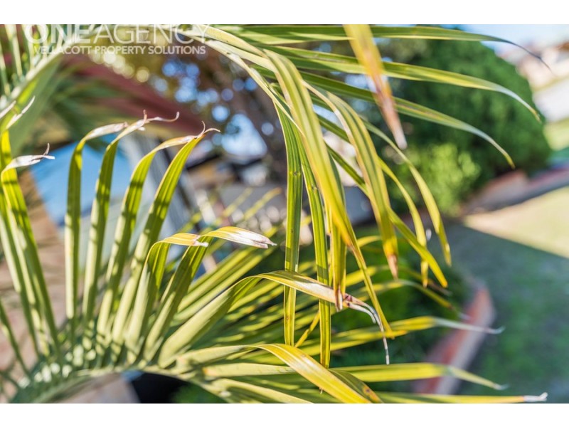 16 Brown Crescent, Seville Grove WA 6112