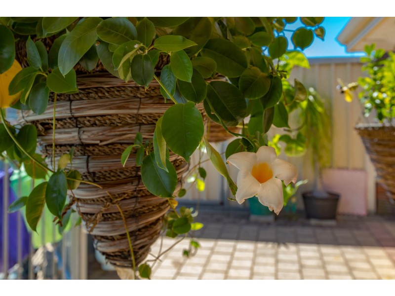 15 Ningaloo Way, Thornlie WA 6108