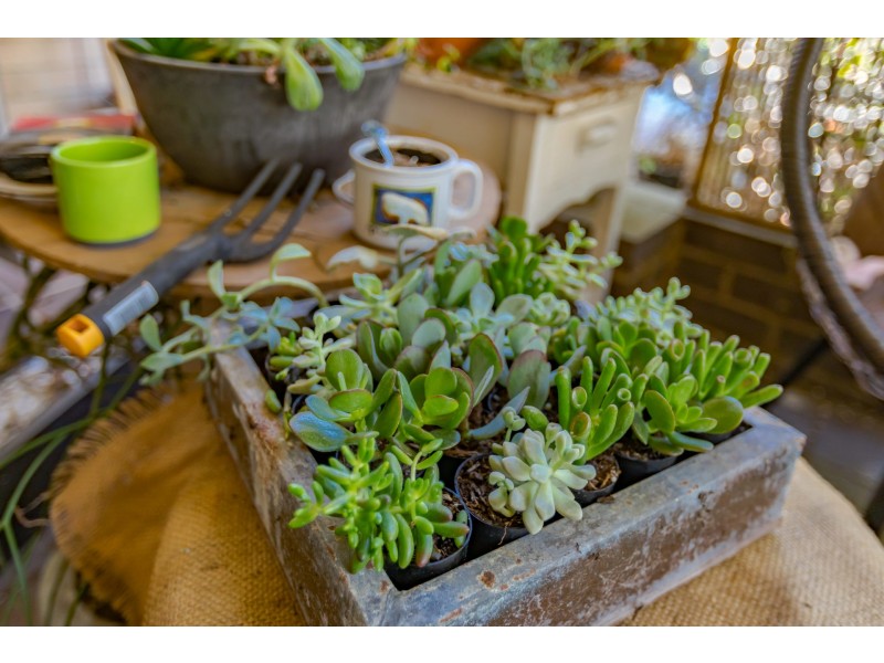 42 Brookman Avenue, Langford WA 6147