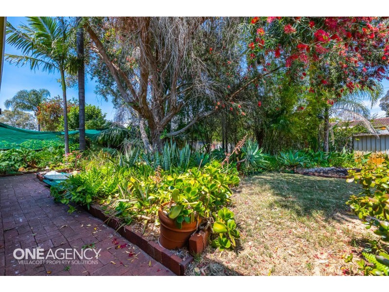 11 Cleve Way, Gosnells WA 6110