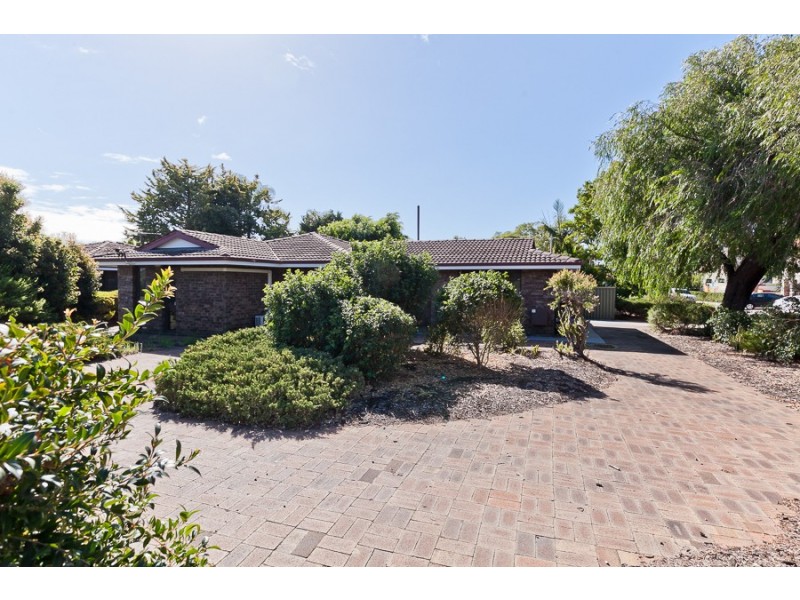 77A Endeavour Avenue, Bull Creek WA 6149