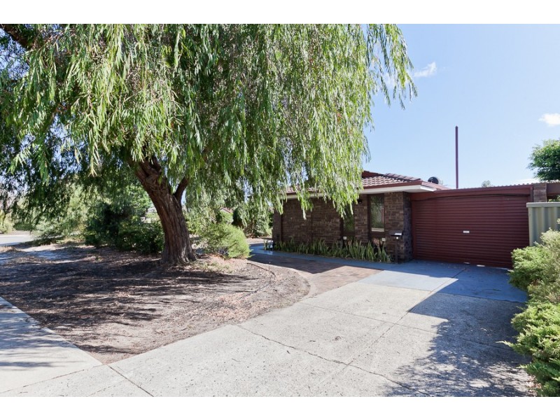 77A Endeavour Avenue, Bull Creek WA 6149